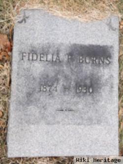 Fidelia Felicia Johnson Burns