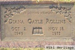 Diana Gayle Pitzer Rollins