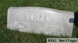 Louise Dickerson Cope