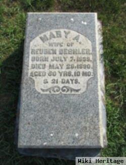 Mary A Zellner Deshler