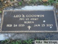 Leo Goodwin