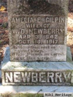 Amelia E. Gilpin Newberry