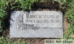 Albert M Young, Sr