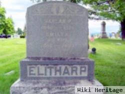 Robert Orson Elitharp