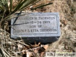 Alexander H Thorton