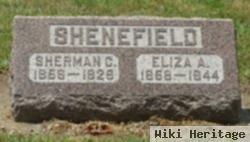 Eliza Ann Hale Shenefield