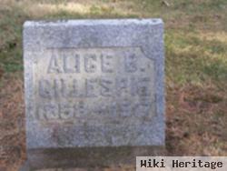 Alice Bell Mcgloflin Gillespie