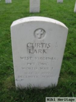 Curtis Lark