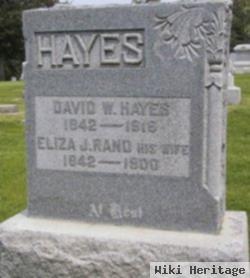 David W Hayes