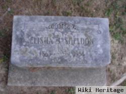 Elisha James Sheldon