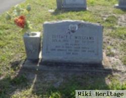 Eustace L Williams