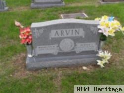 Denver Arvin