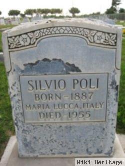 Silvo Poli