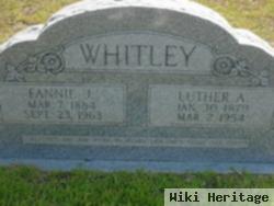 Luther Allen Whitley