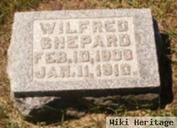 Wilfred Shepard