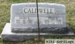 David E Caldwell