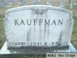 Mollie E Kauffman