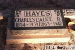 Alice R. Hayes