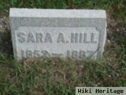 Sara A Hill