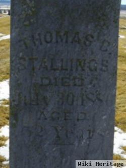 Thomas B Stallings