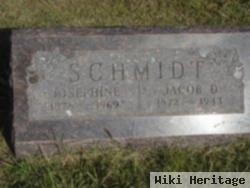 Jacob D Schmidt