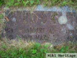 Albert A. Cook