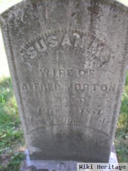 Susan M Morton