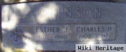 Charles Howard Johnson, Sr