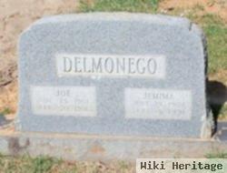 Joe Delmonego