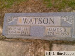 James B Watson