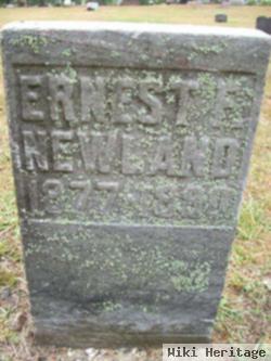 Ernest Floyd Newland