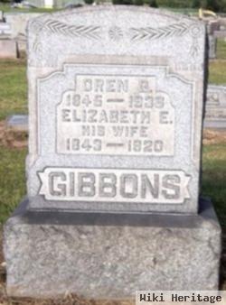 Elizabeth Ellen Downey Gibbons