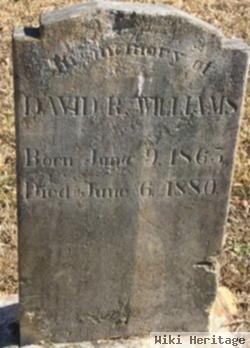 David R. Williams