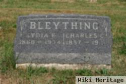 Lydia Ellen Chaney Bleything