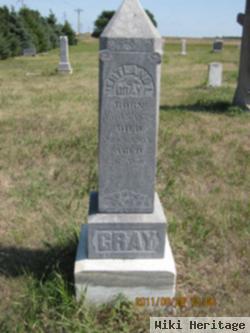 Mertland L Gray