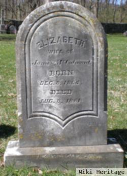 Elizabeth Sterrett Mccalmont