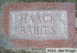 Babies Haack