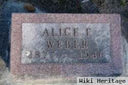 Alice F Weber