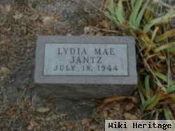 Lydia Mae Jantz