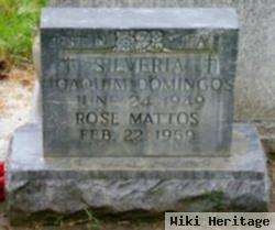 Rose Mattos Silveria