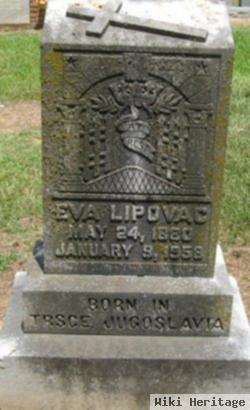 Eva Kavalir Lipovac