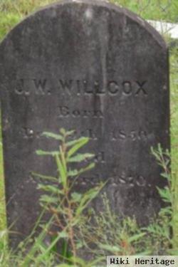 J W Willcox