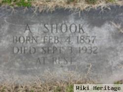 Albert C. Shook