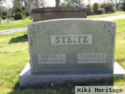 Charles J Steitz