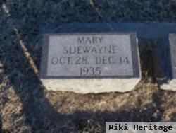 Mary Suewayne Lewis