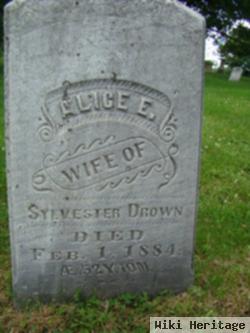 Alice E. Sleeper Drown