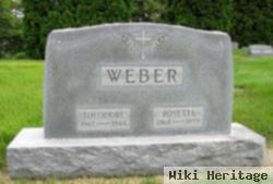 Theodore Weber