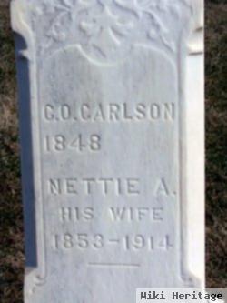 Nettie Adelle Raymond Carlson