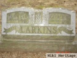 Frances I. Larkins