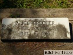 Alice Brecher